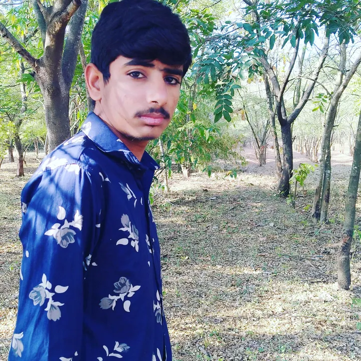@punjagalchar9182
