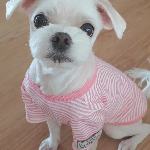 @leehyekyung86