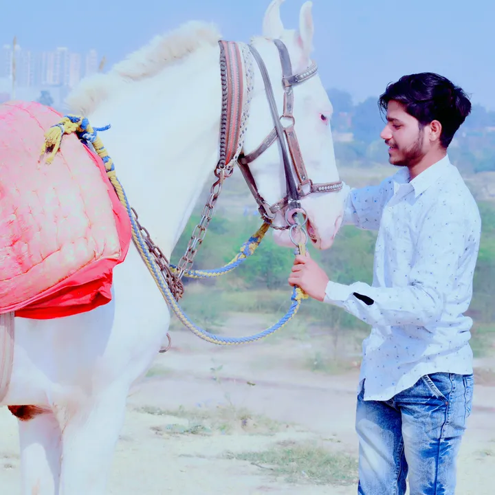 @mr_asrar_7800