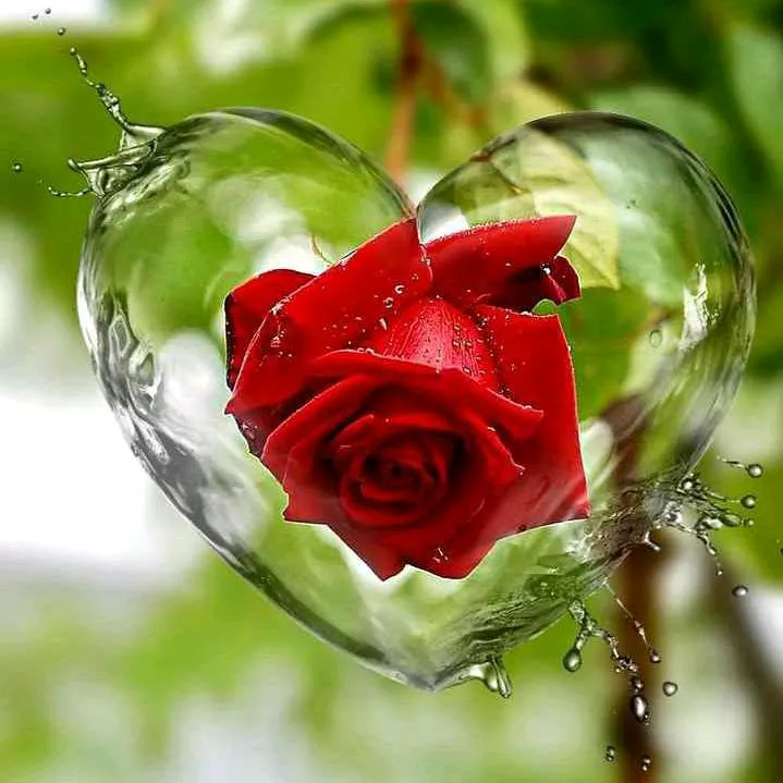 @chandramouli.3