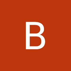 @bisnubhatta12
