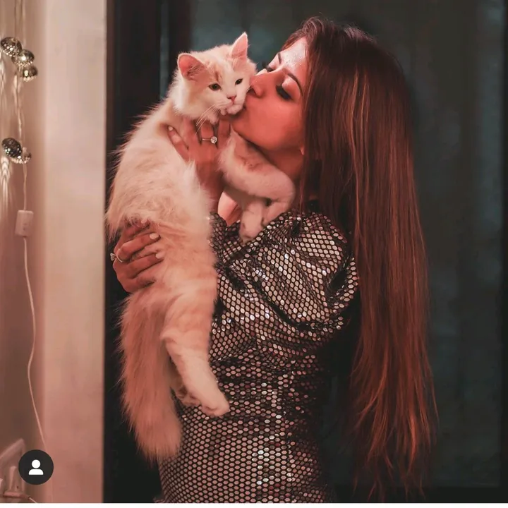 @devil52759