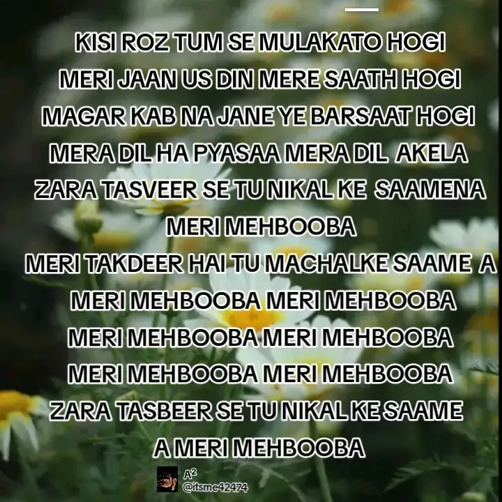 @zaniabkhan52