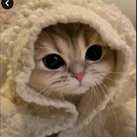 icaluvly