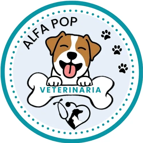 @alfapopveterinaria