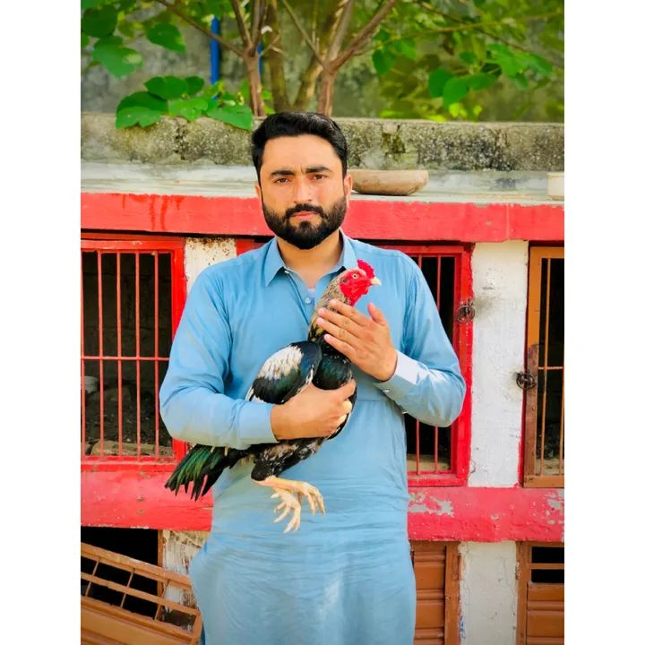 @iftikhar_shah786