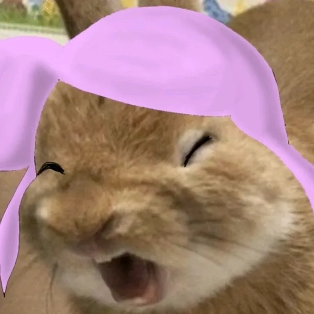 koikoikoikoikoikoikoih
