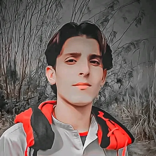 @daud3613