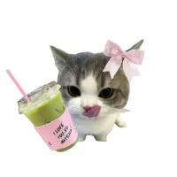 @pinkmatchaglaze