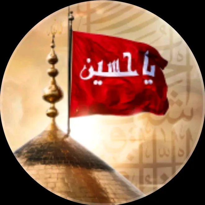 zain.jutt3664