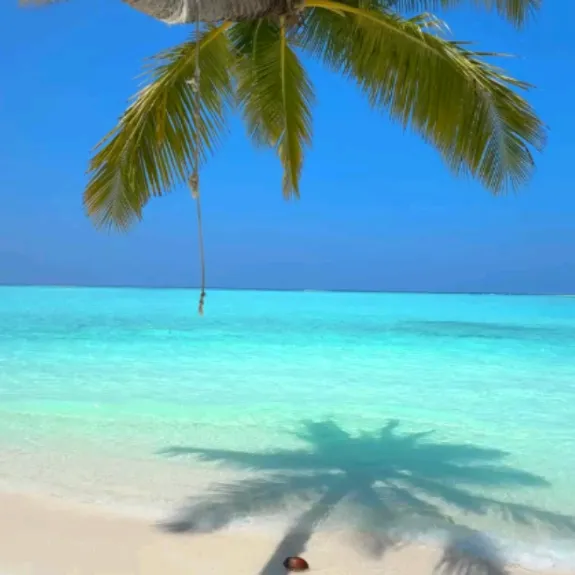 @central.playa