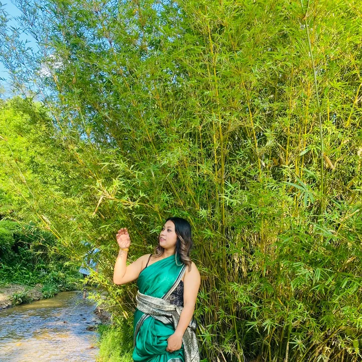 @shreedachhetri
