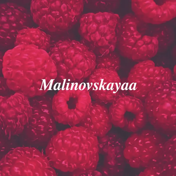 tt_mal1novskayaa