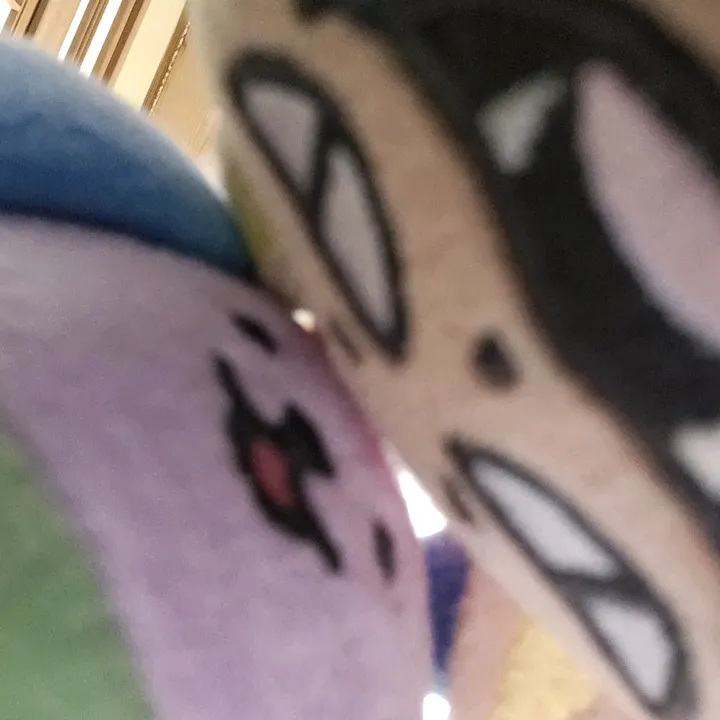 ahiruchan111