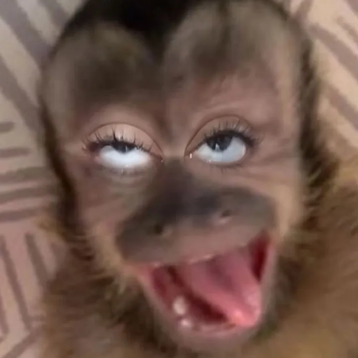 @mxdcygurl