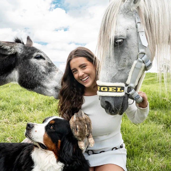 @lau.vet