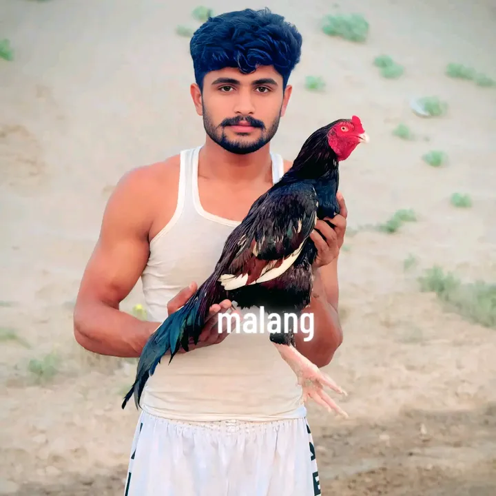 @ali_nahra