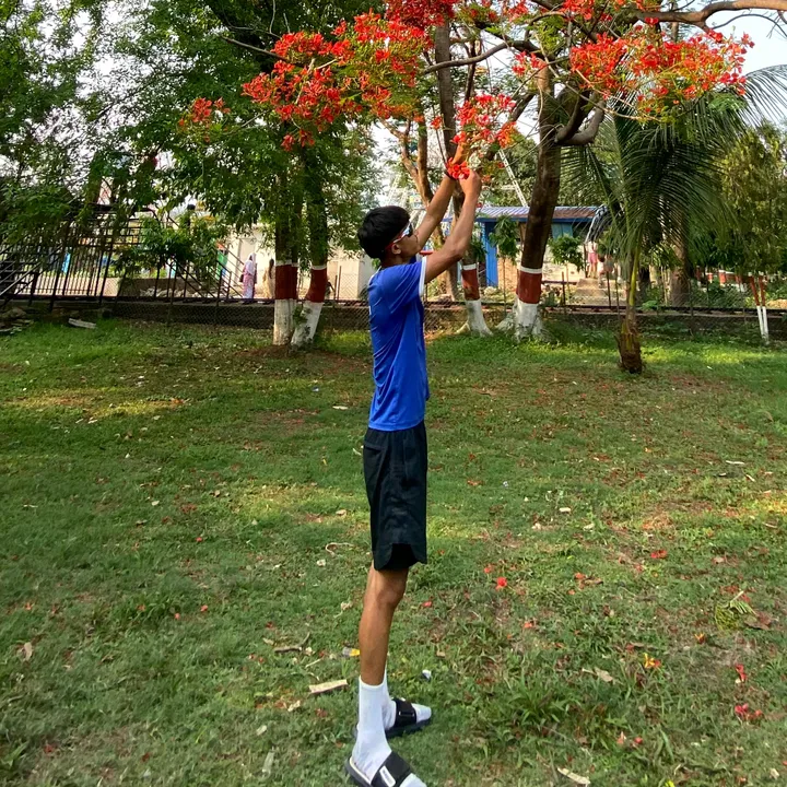 @ramit787