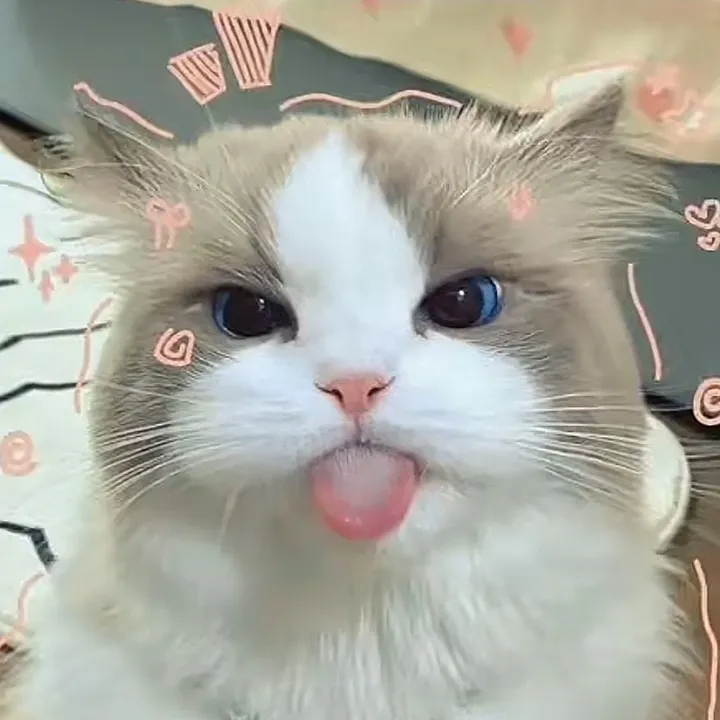 @keysalestari1212