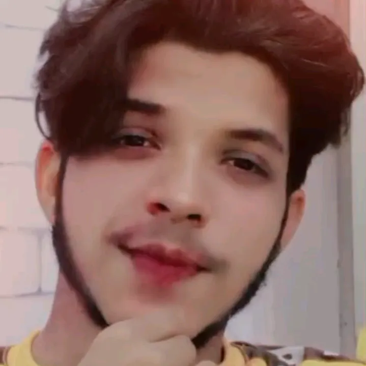 @majidalik215