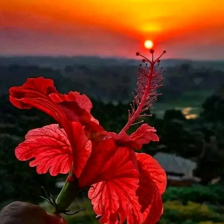 @user8123701182915