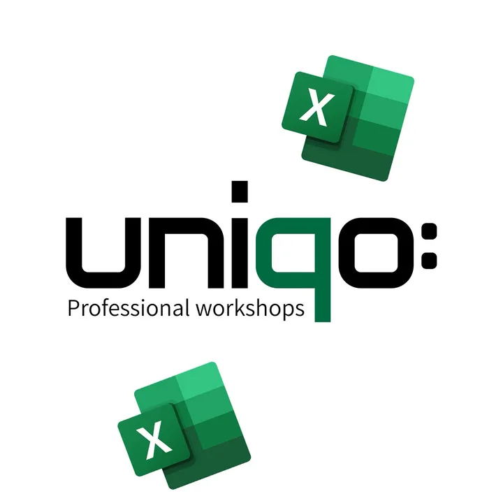 excel_with_uniqo