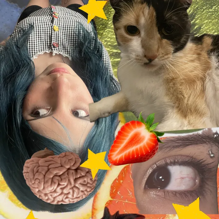 @poopsia