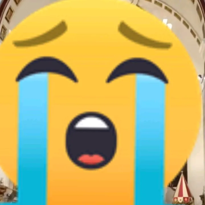 @chengann55