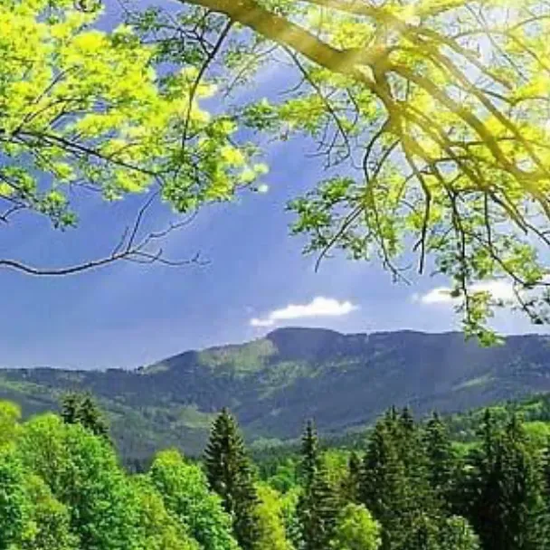 @shwetaaa_31