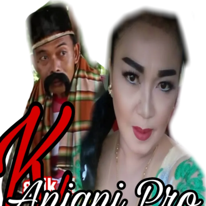 @13anjani1