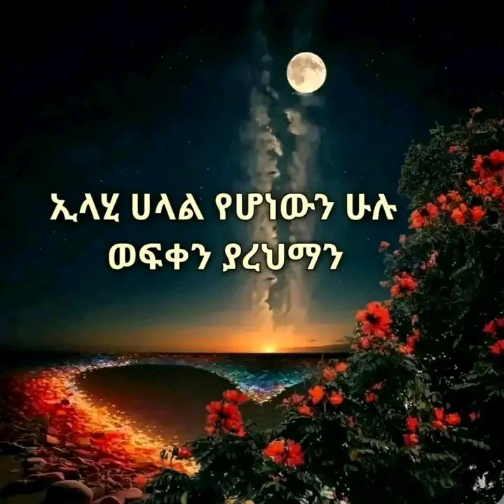 @sanasuwali0