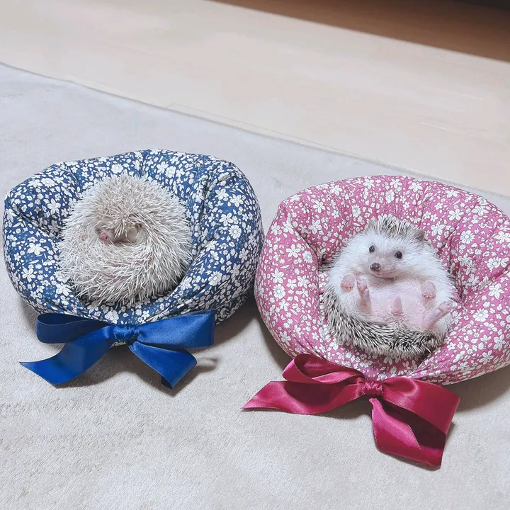 @uni_kuri1111