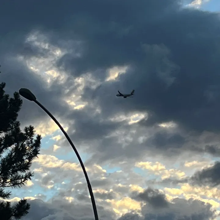 @turkishairlens5