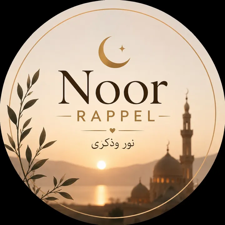 @dailynoor32