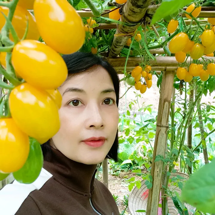 @dungthuy28767