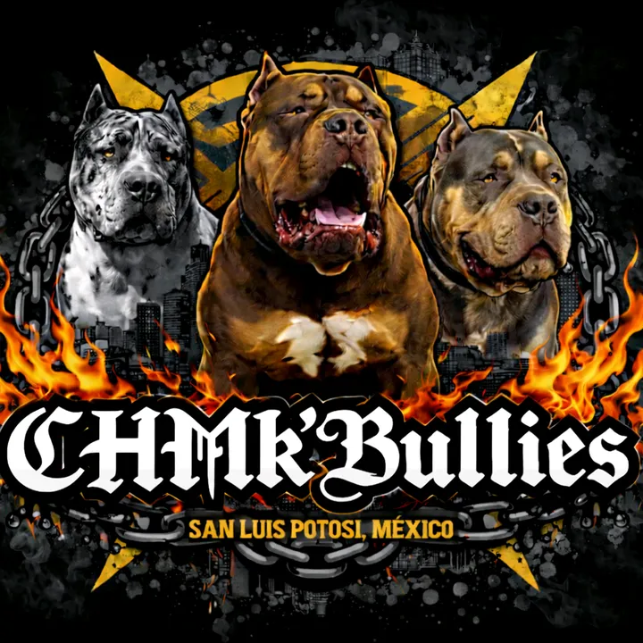 @castrohmksbulls