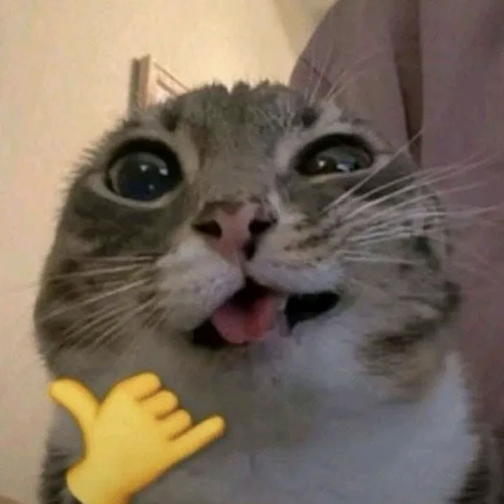 @hulemechxemchuatcatcu