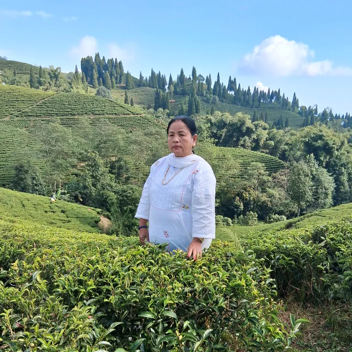 @rita.limbu5