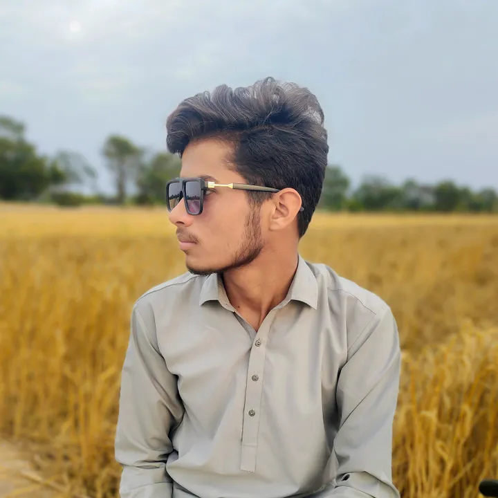@anschoudhary0