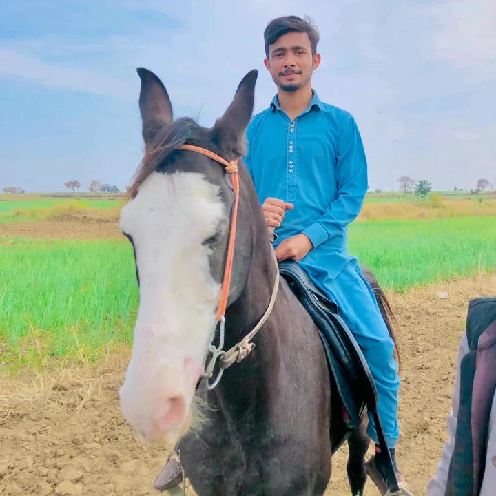 @tayyabkhantayyabgmail.c0
