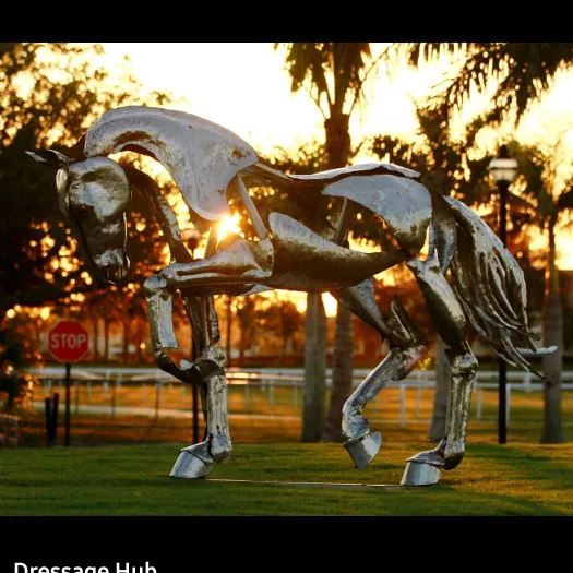 @dressagehub_official