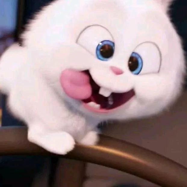 @zhaolifeitortuguita0973