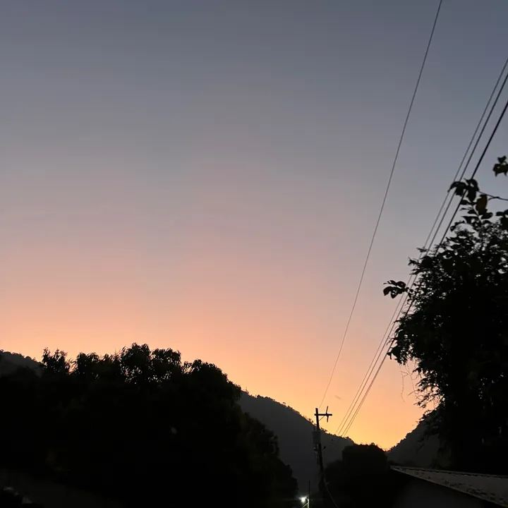 @roxyg.13