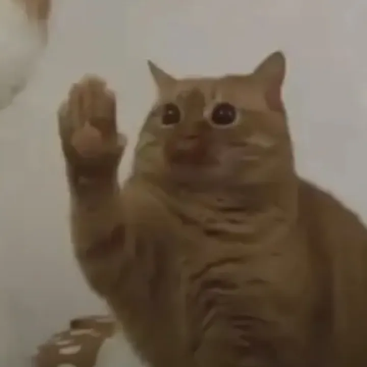 @ziteneb