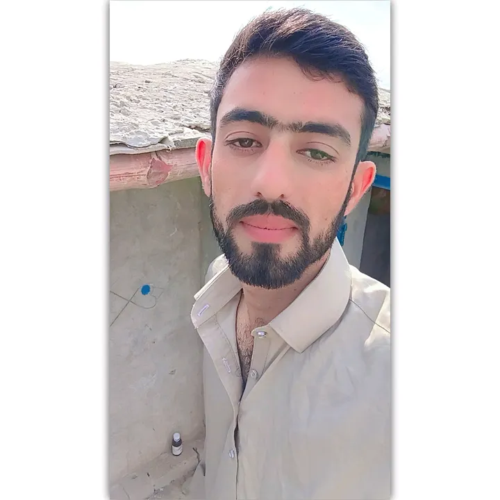 aleehaider990