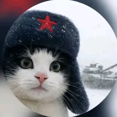 @limonkin_o