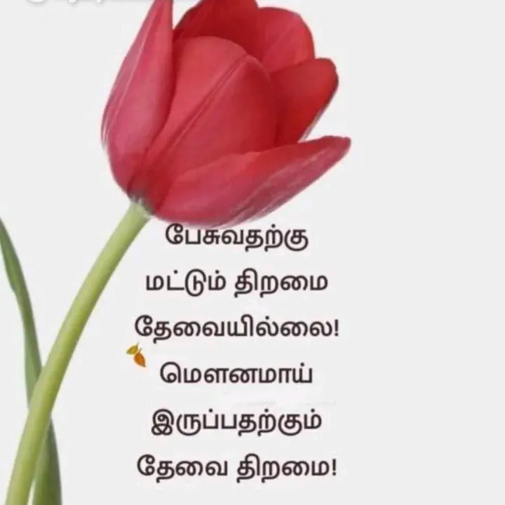 @mohammed.ismail303