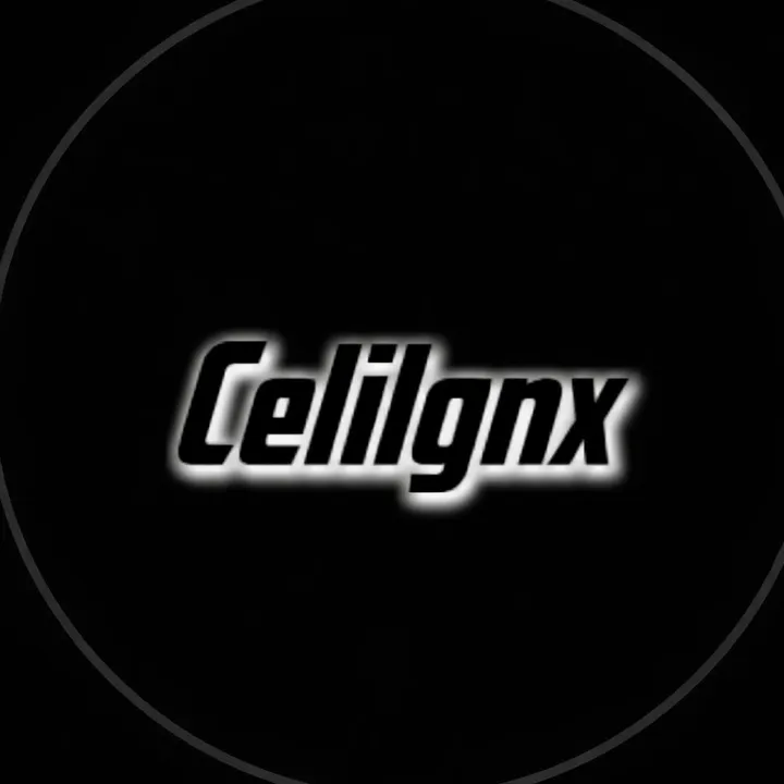 @celilgnx