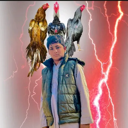 @wasimking7866