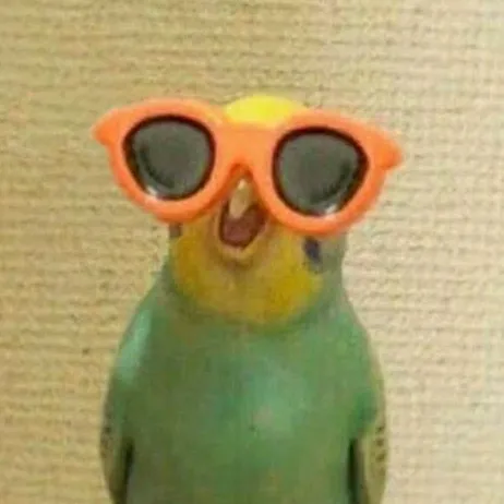 @pipocalderon__
